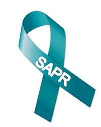 SAPR_Ribbon.png